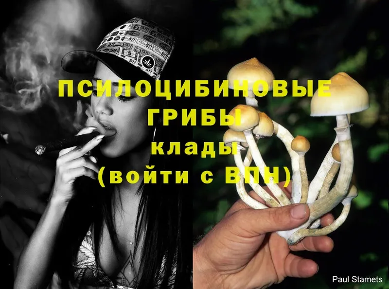 как найти закладки  Павловский Посад  Псилоцибиновые грибы Magic Shrooms 